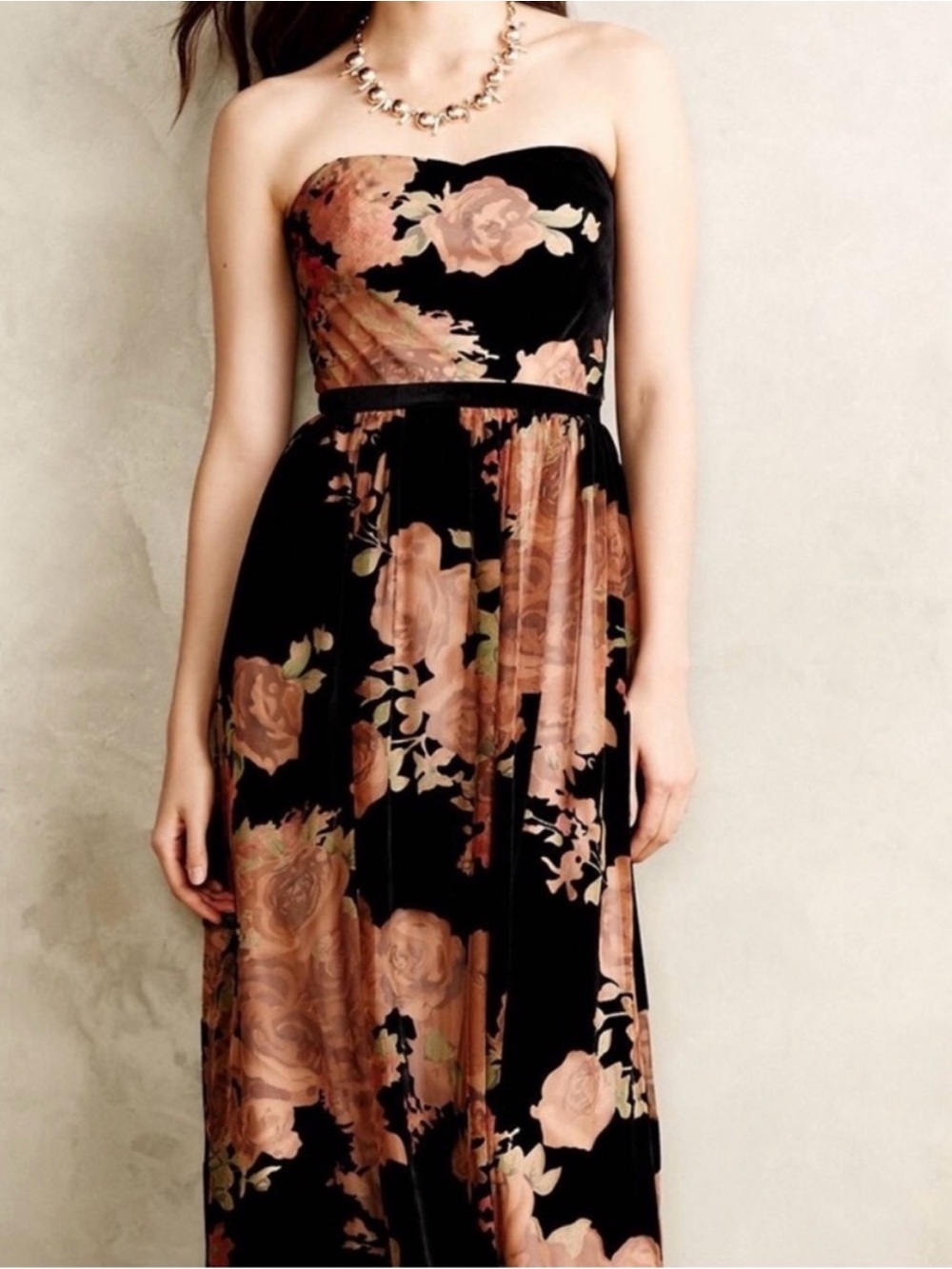 Anthropologie Erin by Erin Fetherston Rosalind Velvet Burnout Gown